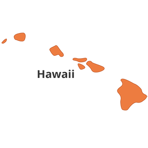 Hawaii Individual Mandates ACA Reporting Requirements