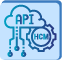 API Integration for HCM Providers