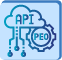API Integration for PEOs