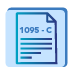 1095-C Code Sheet