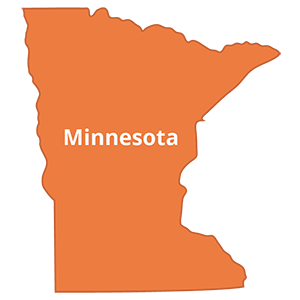 Minnesota Individual Mandates ACA Reporting Requirements